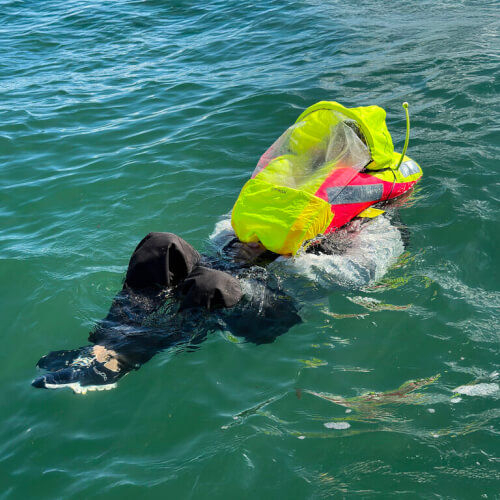 Spinlock Vito AFS 170N